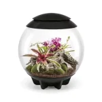 Dagaanbieding biorb air 60 fekete - dekorációs terrárium