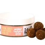 THE BIG ONE HOOK BAIT WAFTERS BOILIE MANGO N BUTYRIC ACID 24 Exclusieve Aanbieding
