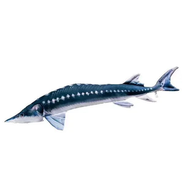 PILLOW THE EUROPEAN STURGEON 36CM Bestseller