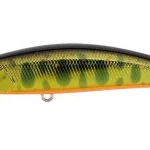 Aanbieding DUO SPEARHEAD RYUKI 80SP 8cm 5.6gr MCC4084 Gold Yamame