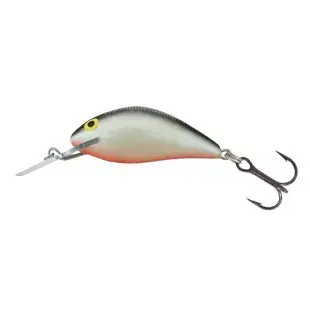 Betaalbaar SALMO WOBBLER HORNET H2S GS