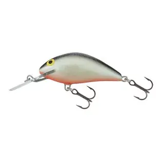 Betrouwbaar SALMO WOBBLER HORNET H6F GS