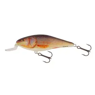 Bestseller SALMO WOBBLER EXECUTOR IEX9SR RR